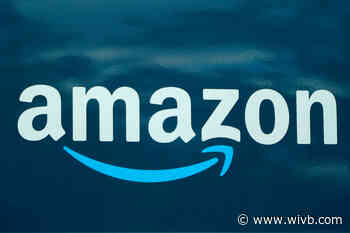 Coalition calls on Hamburg IDA to not use tax money toward proposed Amazon facility