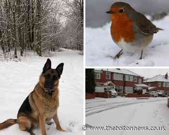 PICS: The best photos of Bolton in the snow - The Bolton News