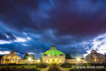 Love week at the Botanical Gardens
