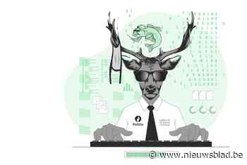 Cybercrime overspoelt in 2020 ook Kempen