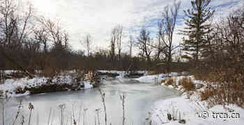 Winter Safety Message: Ice Safety Reminder - TRCA