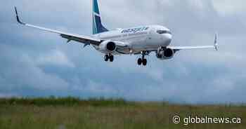 Nova Scotia issues exposure warning for WestJet flight from Toronto to Halifax - Global News