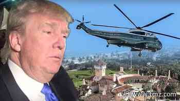 Donald Trump's Mar-a-Lago Helipad Being Removed