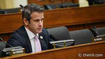 Kinzinger: GOP colleagues have thanked me for speaking out against Trump