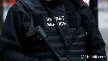 House Oversight requests Secret Service briefing on threats of extremist violence in wake of Capitol riot