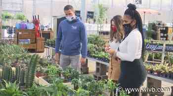 SHOP SMALL 716: Lavocat's Family Greenhouse and Nursery