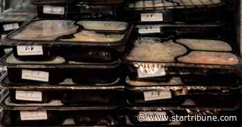 Lutheran Social Service of Minnesota adopts North Dakota program that helps seniors