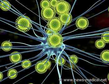 Preclinical study uncovers how Zika virus passes from mother to fetus during pregnancy