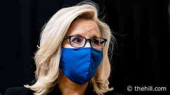 Republicans rally to keep Cheney in power