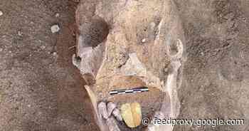Archaeologists in Egypt discover a mummy with a golden tongue     - CNET