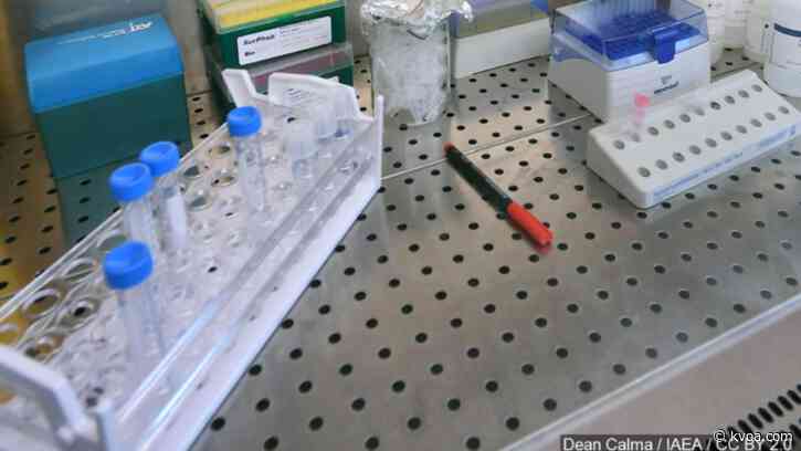 Doctors see consistent drop in Arizona COVID-19 cases