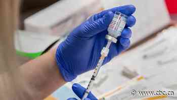 Mandating 'vaccination passports' for access to services, travel would be a violation of civil liberties