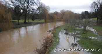 The flood alerts in place as Met Office warns more rain on the way