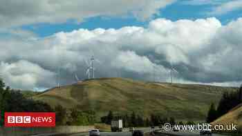 Government 'painfully slow' on protecting environment