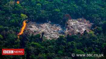 Prosperity comes at 'devastating' cost to nature