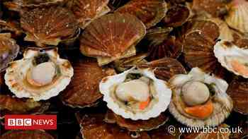 Bottom trawling ban for key UK fishing sites