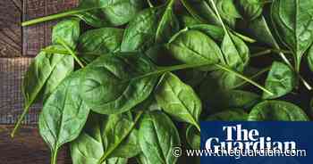 Spam’s new frontier? Now even spinach can send emails