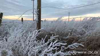 Polar vortex will bring North Pole cold to Alberta this weekend