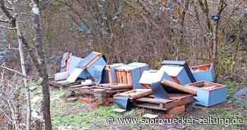 Bienen von Imker aus Neunkirchen angegriffen - Bienenvölker gestorben - Saarbrücker Zeitung