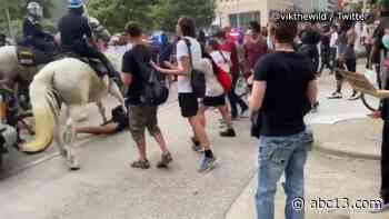 Houston woman trampled by HPD officer on horse files suit against city and department - KTRK-TV