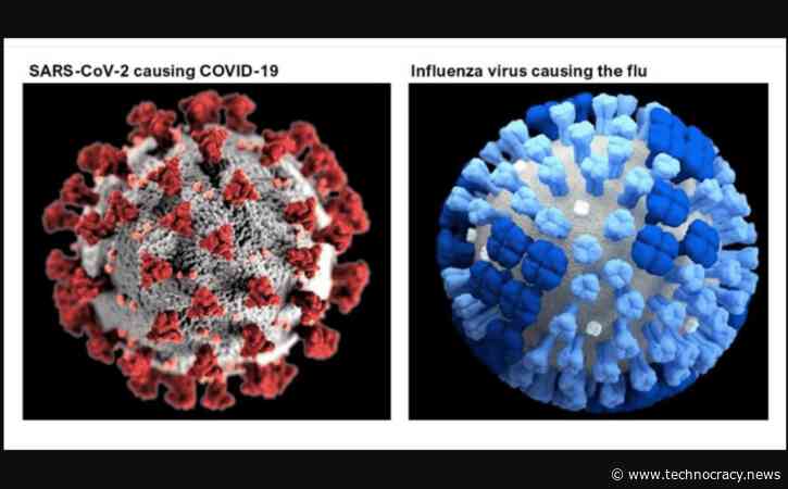 The Mysterious Case Of Disappearing Influenza