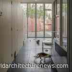 Space for cats and coffee at NY cafe by Davidson Rafailidis