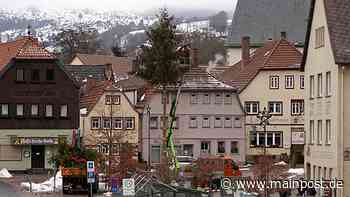 Wenn der Christbaum in Bischofsheim zum Fosenochtsbaum wird - Main-Post