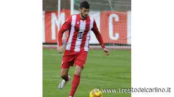 "Matelica non abbatterti. Bisogna reagire" - il Resto del Carlino