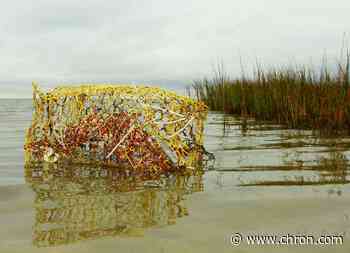 Help needed finding abandoned crab traps in Galveston Bay