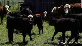 'Shift' to plant-based diets is key to saving world's wildlife