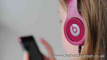 Online streaming has reduced musicians’ earnings, MPs told