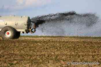 Polluted Water as a Source of Fertilizer