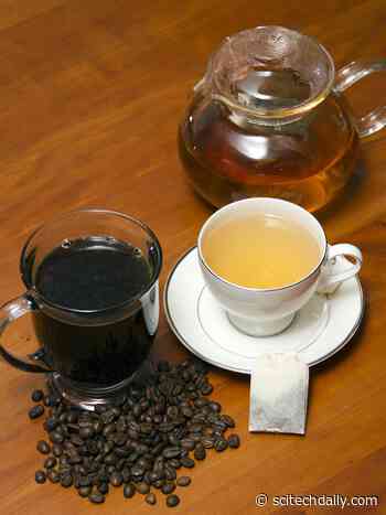Drinking Coffee, Green Tea Lowers Risk of Death for Heart Attack and Stroke Survivors
