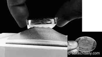 New Fastener With Microscopic Mushroom Shapes Could Be an Improved Version of Velcro