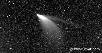 Newfound comet named Leonard may be the one to watch in 2021     - CNET