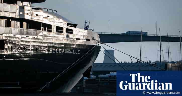 Cacophony of human noise is hurting marine life, scientists warn