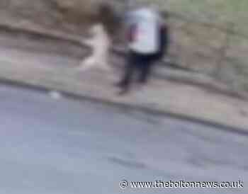 RSPCA appeal for help in finding cruel Bury dog owners
