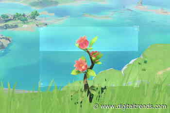 Genshin Impact: Where to find the five colored items and creatures during the camera event