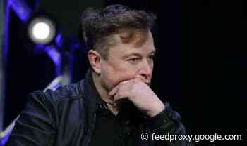 Elon Musk was bullied and 'knocked unconscious' as SpaceX CEO faced 'tough upbringing'