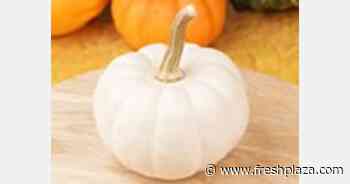 Covid-19 accelerated commercial farming dreams for Namibian entrepreneur - FreshPlaza.com