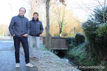 Gemeente investeert fors in stukje ‘natte natuur’ om overstromingen te vermijden: “Regenwater moet meer ruimte krijgen”