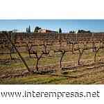 Jean Leon y CREAF colaboran en un estudio de secuestro de carbono en la viña - Interempresas