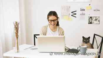 Wohnungsmarkt: Homeoffice könnte den Markt entspannen