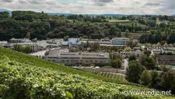 Firmenich targets 'carbon-positive' operations by 2030