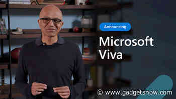 Microsoft announces Viva, a new Microsoft 365 platform