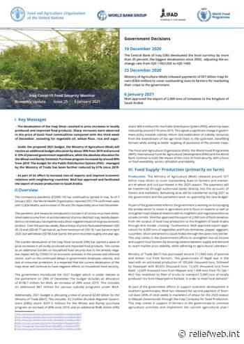 Iraq COVID-19 Food Security Monitor Bi-Weekly Update - Issue 25, 5 January 2021 [EN/AR] - Iraq - ReliefWeb