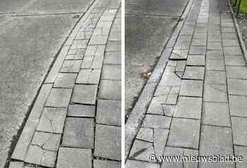 Voetpaden in slechte staat worden mondjesmaat heraangelegd