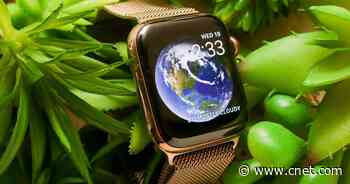 Best Apple Watch accessories, starting at just $7     - CNET