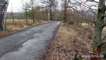 Fünf Birken an der Allee zur Burg Herzberg mussten fallen - HNA.de