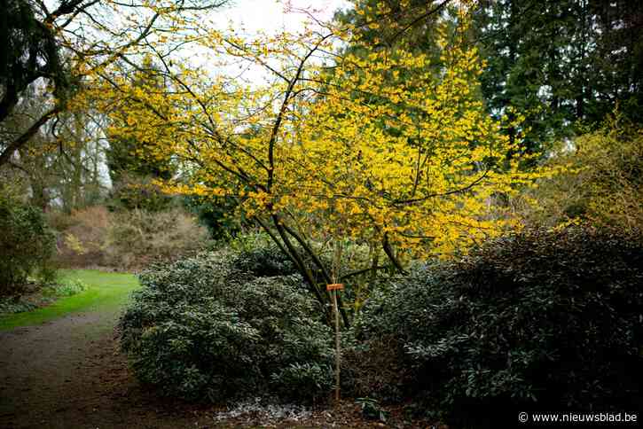 15.000 minder bezoekers door corona in Arboretum